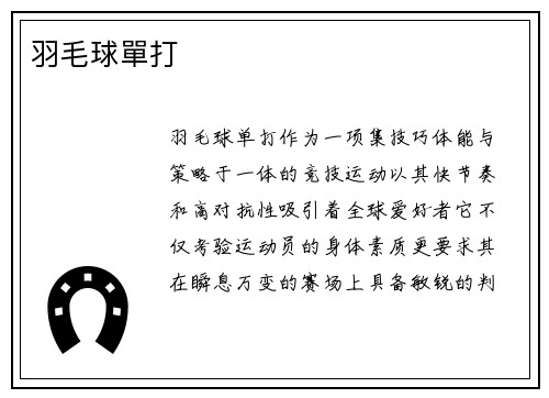 羽毛球單打